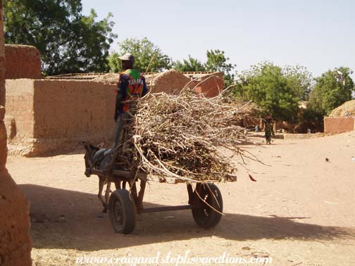 Segoukoro donkey cart Segoukoro donkey cart