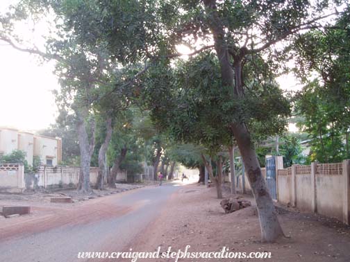 Tree-lined streets of Segou Tree-lined streets of Segou