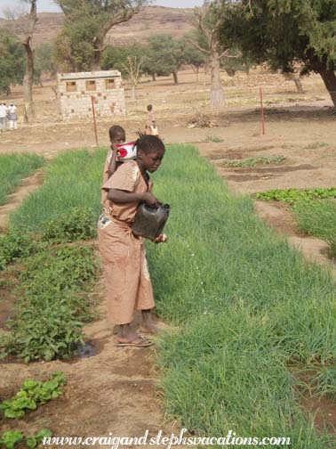 Girl watering the garden