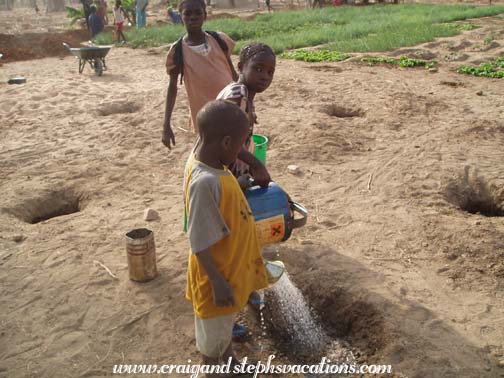 Kids water the compost-filled holes