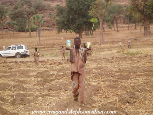 The trees arrive in Kori-Maounde The trees arrive in Kori-Maounde