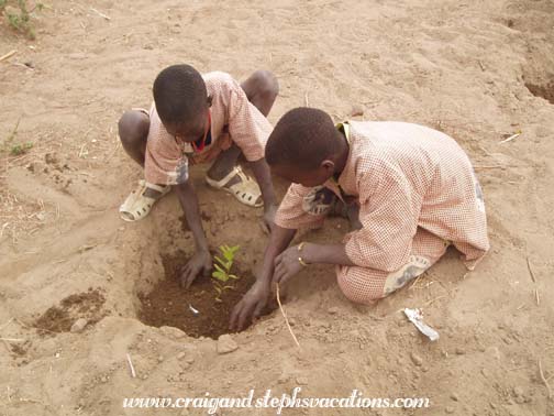 Students plant a tree Students plant a tree
