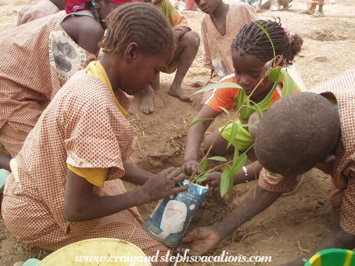 Students plant trees Students plant trees