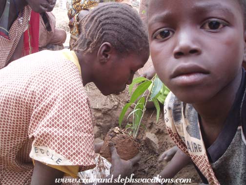Students plant trees Students plant trees
