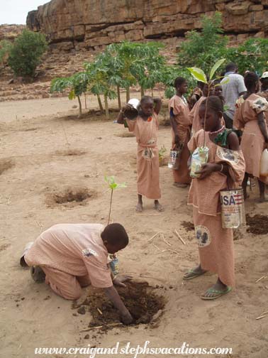 Students plant trees Students plant trees
