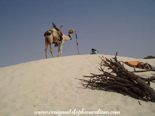 A Tuareg rests by his camel