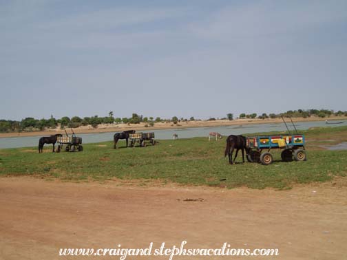 Horse carts at the Bani ferry