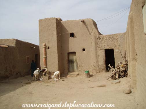 Djenne goats Djenne goats