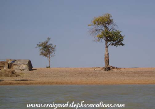 Exposed roots belie high water level