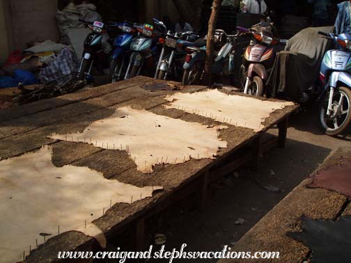 Animal hides Animal hides
