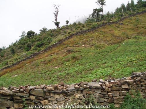 Stone walls along Shelmakha road Stone walls along Shelmakha road