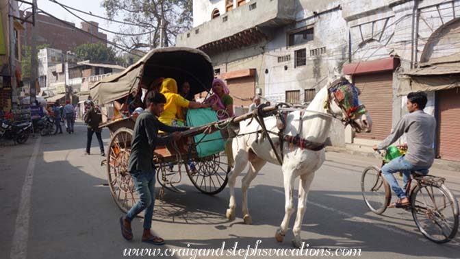Rajasthani tourists in Amritsar