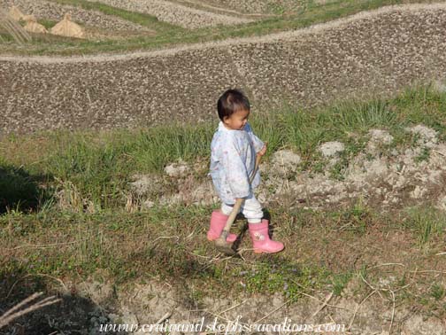 Toddler helps her grandparents in the fields, Tang'an Dong Village