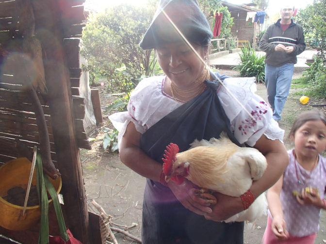 Rosa prepares to dispatch a rooster