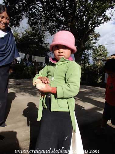 Sisa holds a new baby chick