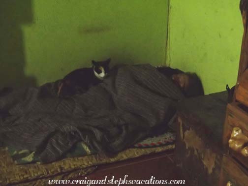 Abuelita (who prefers to sleep on a traditional tortora reed mat as opposed to a bed) sleeping with her cat