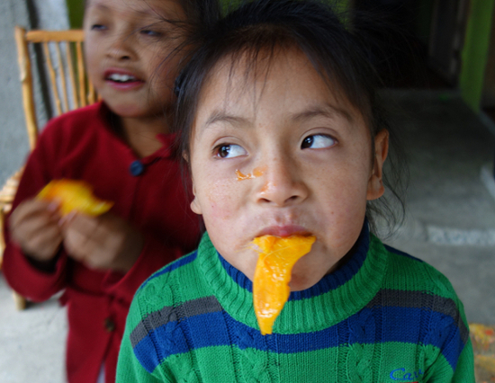 Yupanqui with a mango tongue (lengua de mango)