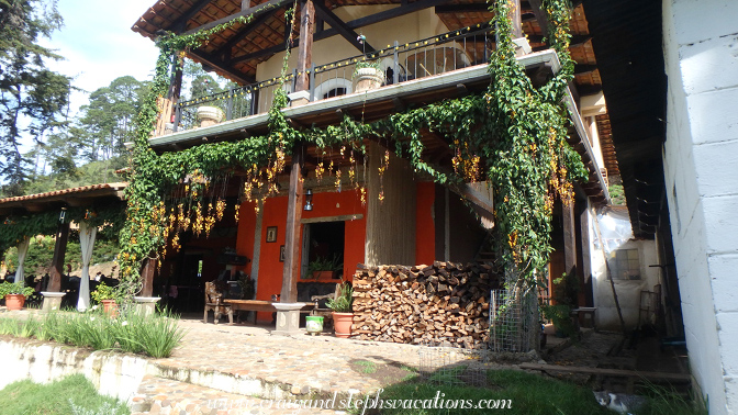 La Molina Vieja adorned with Thunbergia Mysorensis (clock vine flowers)