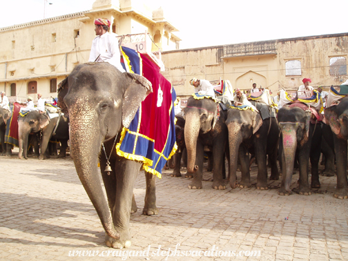 Elephants and their mahouts, Amber Palace