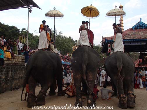 Men standing on elephants