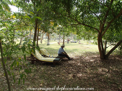 Lounge chairs in the shade, Marari Beach Resort