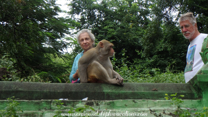 Esther and Al pass a macaque at Phowin Taung Hill