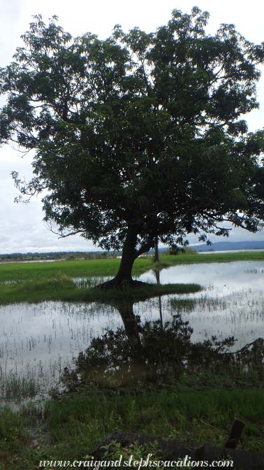 Floodplains approaching Kyi Taung Village
