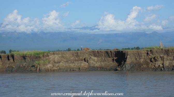 Farmer plowing fertile fields on the riverbank with bulls Farmer plowing fertile fields on the riverbank with bulls