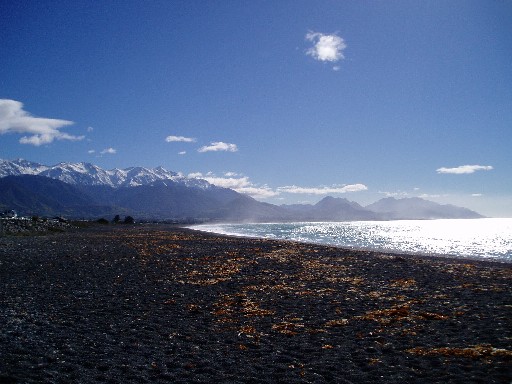 Kaikoura from the Whale Watch office