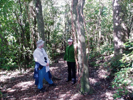 Craig and Jasmine on the Puhi Puhi forest tour