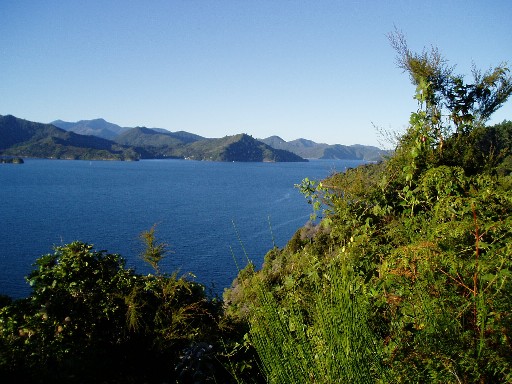 View from Queen Charlotte Drive