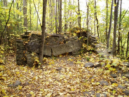 Ruins of Thomas Tobin's cabin, Arrowtown