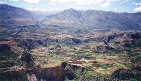 Colca Valley