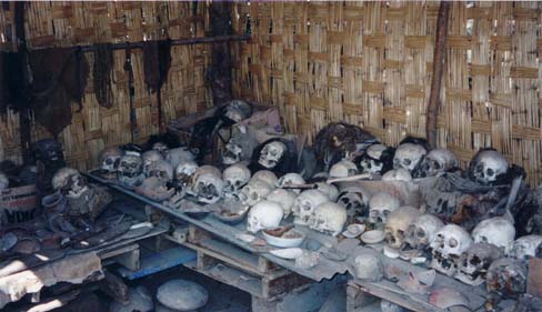 Skulls at the roadside mummy museum