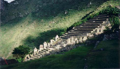 Terraces in the afternoon sun, Machu Picchu Terraces in the afternoon sun, Machu Picchu