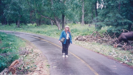 2001 Day Hiker Adventure (14)