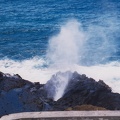 1998 Oahu (72)