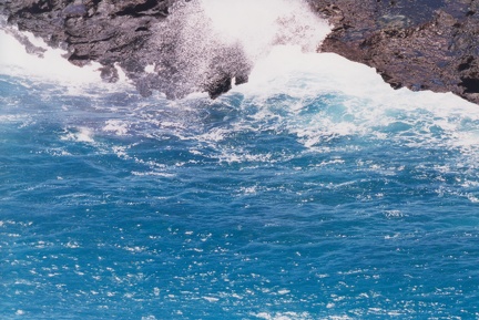 1998 Oahu (73)