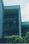 1998 Maui (4)