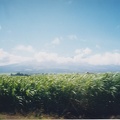 1998 Maui (44)