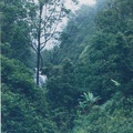 1998 Maui (62)