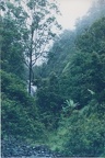 1998 Maui (62)