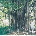 1998 Maui (68)