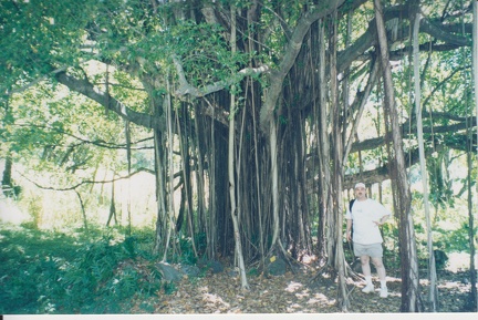 1998 Maui (68)