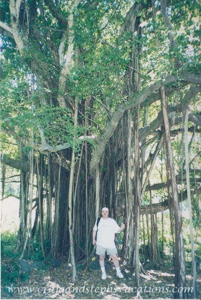 1998 Maui (70)