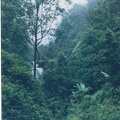 1998 Maui (73)
