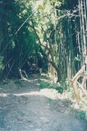 1998 Maui (84)