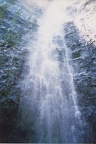 1998 Maui (86)