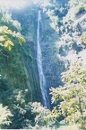 1998 Maui (89)