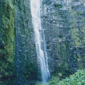 1998 Maui (91)